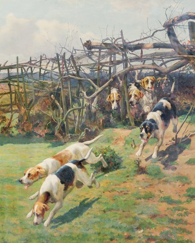 Through the Fence by Arthur Charles Dodd